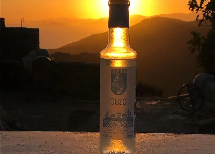 Gorgona, Maison Cycladique * Gavrio